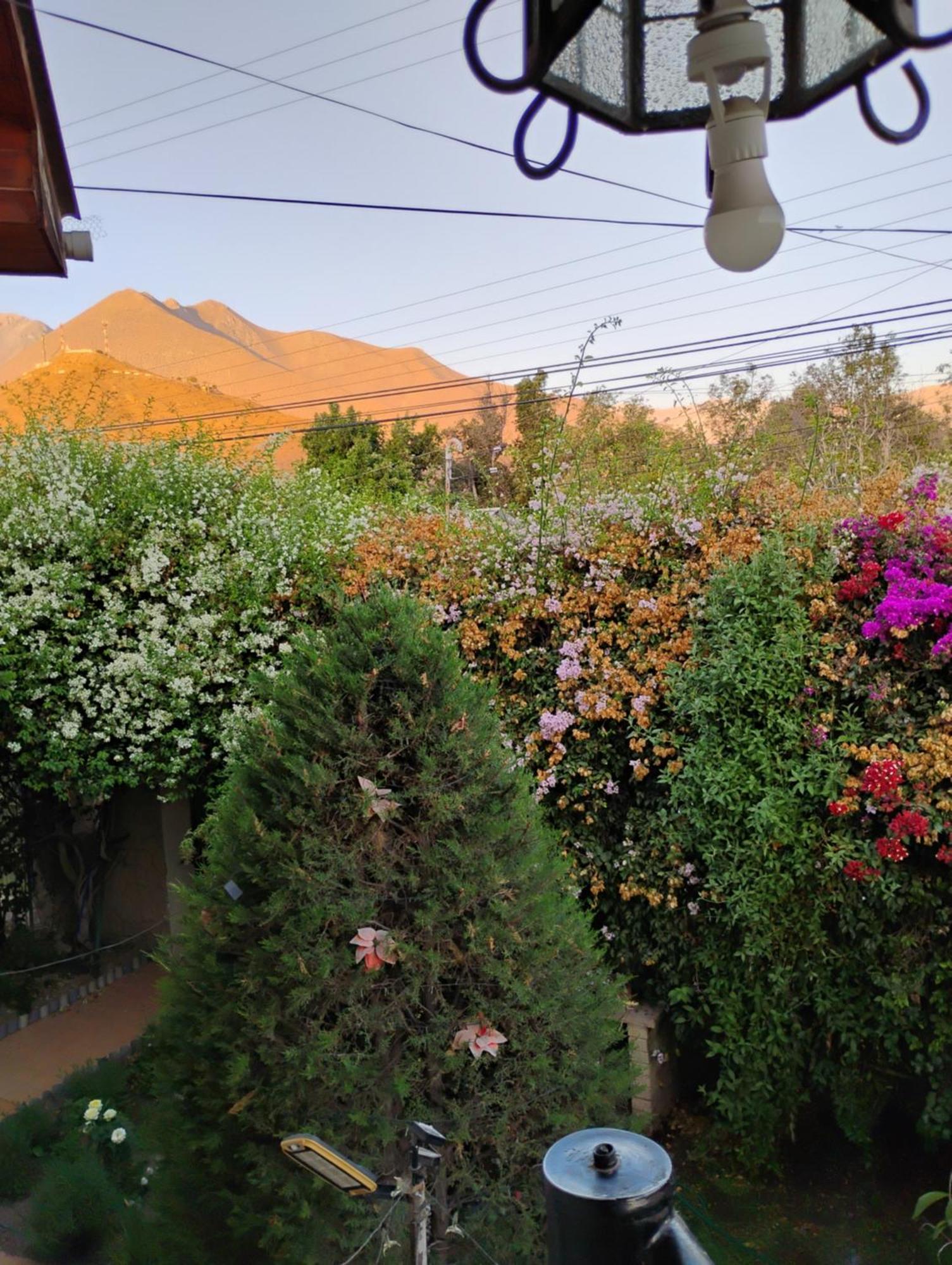 Hostal Donde Rita Vicuna Exterior photo